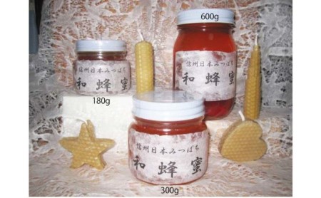 信州日本みつばち 和蜂蜜（600g）