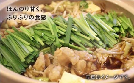 プリプリで味わい深い！ホルモン専門店の和牛小腸 600g（約3~4人前）【三田川ホルモン専門店】吉野ヶ里町 [FAC007]