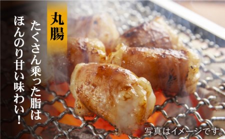 【味付】【大容量】プリプリで味わい深い！ホルモン専門店のホルモンセット900g（丸腸・上ホルモン・シマ腸各300g）【三田川ホルモン専門店】吉野ヶ里町 [FAC010]