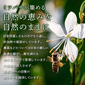 アカシアはちみつ 1kg(500g×2本) 伊達市産 国産 天然 蜂蜜 ハチミツ ハニー  F20C-292