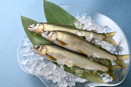 69 うなぎ屋たむろの岐阜の鮎　塩焼き１０尾セット
