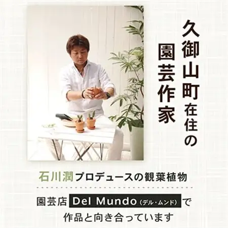 黒松盆栽＆抹茶クッキーセット_菓子・スイーツ クッキー    花・観葉植物 盆栽  _【1047275】