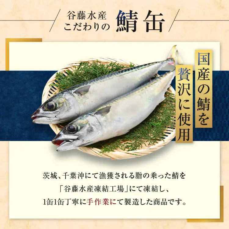 さば 缶詰 水煮 24缶 国産 さば缶 _AL002