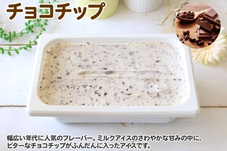 598.アイスクリーム チョコチップ ジェラート チョコ 業務用 2リットル 2L アイス 大容量  手作り 北海道 弟子屈町