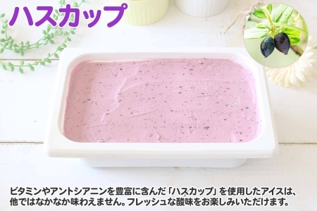 607.アイスクリーム ハスカップ ジェラート 業務用 2リットル 2L アイス 大容量  手作り 北海道 弟子屈町