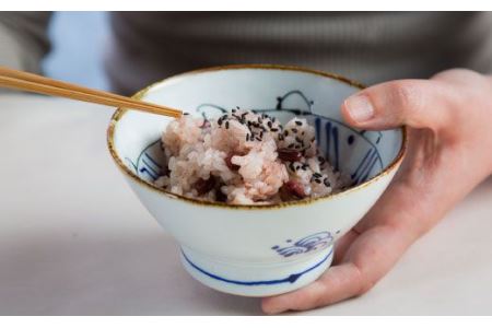 【陶器市特集】【波佐見焼】kotohogi くらわんか碗 茶碗 鶴亀 セット 食器 皿 【西海陶器】 [OA108] 波佐見焼