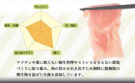 宮崎県産豚食べ比べセット1.2kg(バラ300g・ロース300g・こま切れ300g×2P) 豚肉 肉 食べ比べ_K008-001