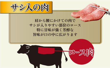 【数量限定】＜冷蔵・真空包装＞宮崎牛旨味全開食べ比べセット(合計540g、ヒレ140g・ロースステーキ200g×2枚) 牛 牛肉 食べ比べ_K008-021