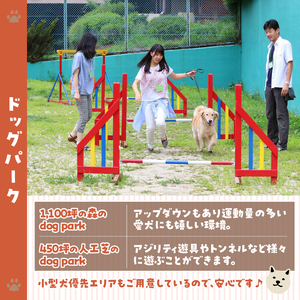 八ヶ岳わんわんパラダイス　施設利用券9,000円 [h102]
