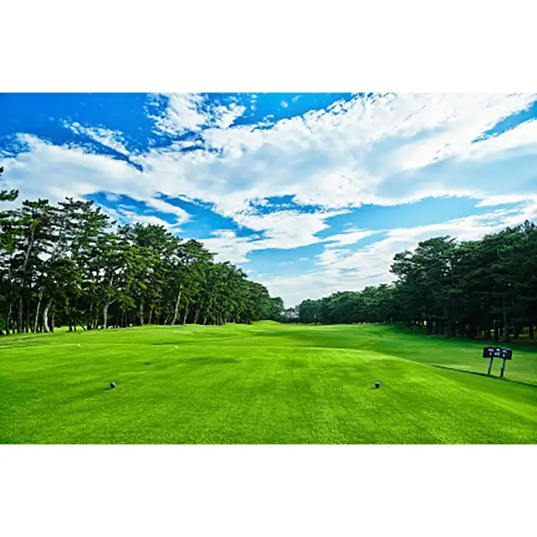 【倶楽部会員限定】 大洗ゴルフ倶楽部 平日プレー券(ビジター用) ゴルフ場 利用券_AT002