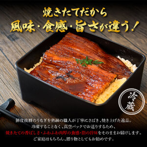 特選うなぎの蒲焼き2尾（特製タレ付き） 130g×2尾 ヤマシン 