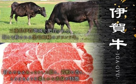 伊賀牛 ヒレ焼肉用 600g【gzit0004】