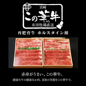 有田牧場直送この華牛 ドーンと盛合せフリースライス 1.4kg K20_0018_2