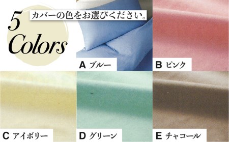飛騨の手作り 純真綿掛布団 肌掛ふとん シルク 0.5kg入り 選べる布団カバー付き 夏期用[Q2011xch]