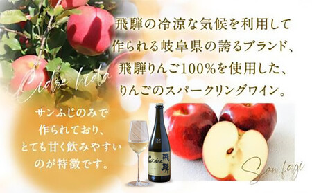 【寄附額見直しました】飛騨りんご シードル飛騨 甘口 750ml | スパークリング スパークリングワイン シードル お酒 果実酒 りんご リンゴ 林檎 ワイン 飛騨高山 木戸脇果樹園オーチャードハウス FP002