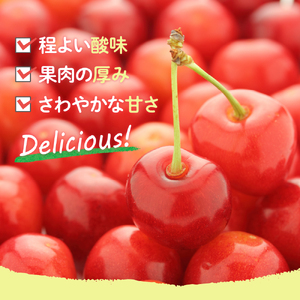 【先行予約】 令和8年産 さくらんぼ 佐藤錦 700g ( バラ詰め ) 2026年6月上旬～下旬頃お届け予定 山形県 米沢市