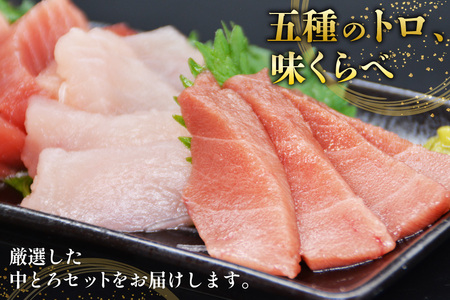 北かつのマグロ 中トロセット まぐろ まぐろ まぐろ [北かつ商事 宮城県 気仙沼市 20563599]