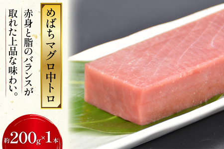 北かつのマグロ上質セット (マグロ中トロ 200g マグロ上質赤身 200g×2 メカジキ 200g びんちょう 200g）合計1kg [北かつ商事 宮城県 気仙沼市 20563511]