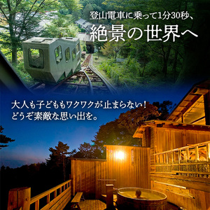 常盤館 展望露天風呂 入浴券2枚 チケット 温泉利用券 