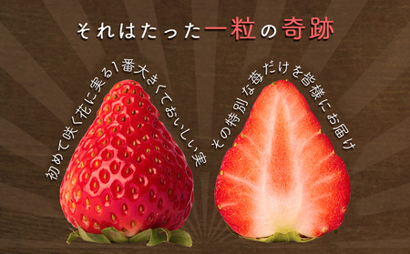 【朝摘みをお届け！】フルーツガーデンやまがたのいちご「うずしおベリー」中粒22個 【数量限定】 いちご フルーツ 果物 苺 イチゴ 旬の果物  鳴門のいちご