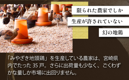 ＜認定農家直送＞のびのびと育てたみやざき地頭鶏の生肉セット(合計1kg・モモ肉300g×2P、ムネ肉200g×2P)_K014-002