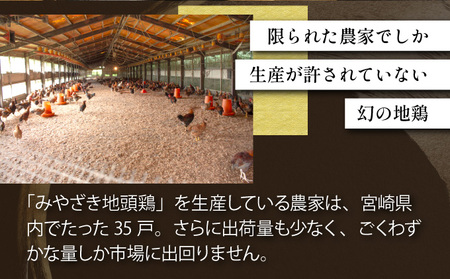 ＜認定農家直送＞のびのびと育てたみやざき地頭鶏の炭火焼き(計500g・100g×5P)_K014-001