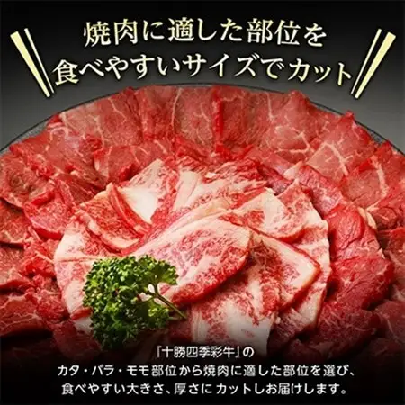 十勝四季彩牛焼肉(部位おまかせ)総量800g(200g×4P)【国産交雑種】_肉 焼肉 牛肉 やきにく ヤキニク バーベキュー  肉  牛肉 _【配送不可地域：離島】【1211792】