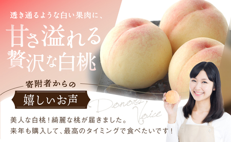 桃 2026年 先行予約 白桃 8玉 合計約2.0kg もも モモ 岡山県産 国産 フルーツ 果物 ギフト