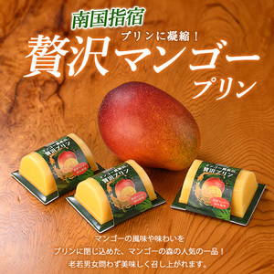 マンゴースイーツ マンゴー農家の贅沢マンゴープリン9個入 マンゴーの森 IB040-005 マンゴープリン マンゴープリン
