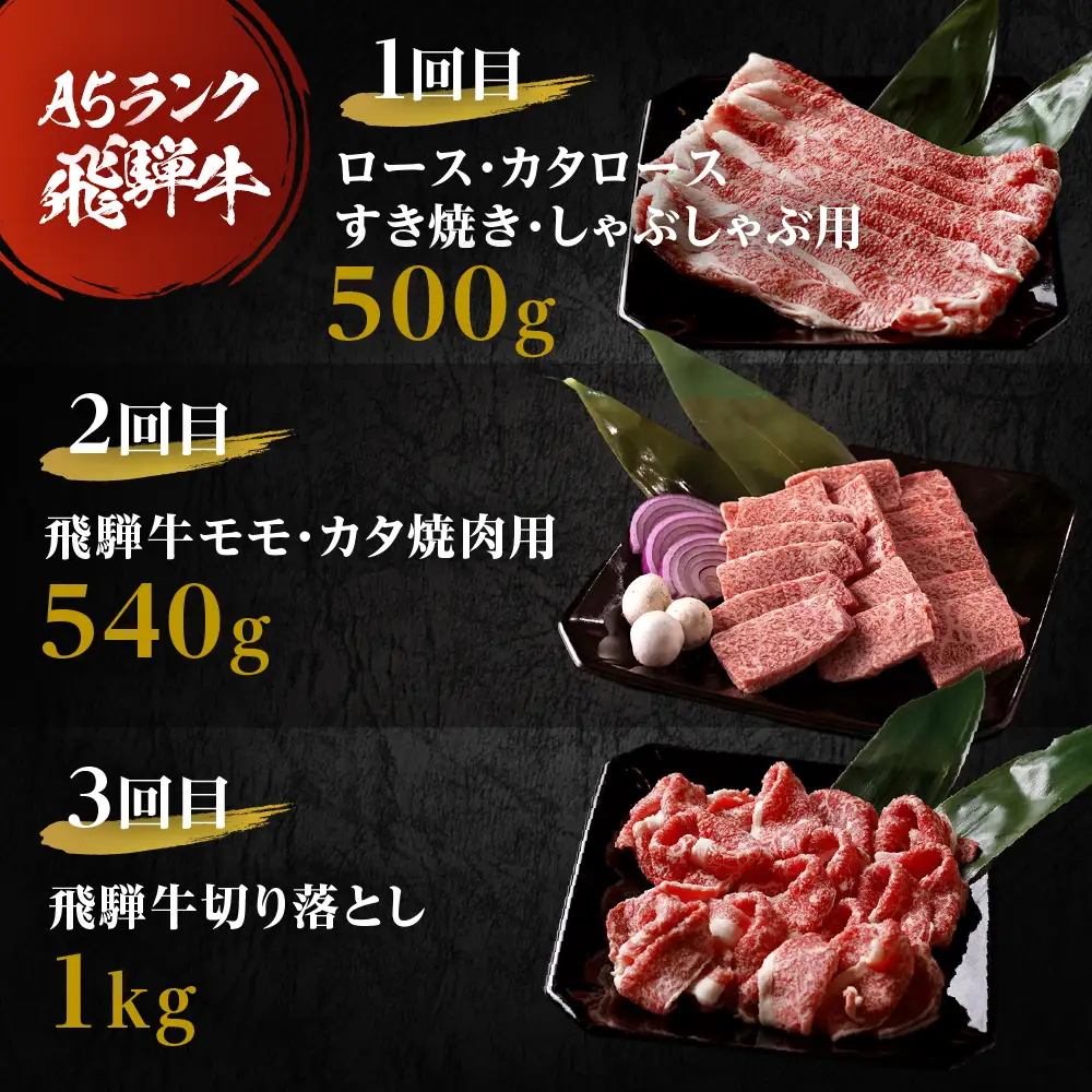 【ふるなび限定価格】 定期便 6回 A5飛騨牛 | 定期便 FN-Limited-PR