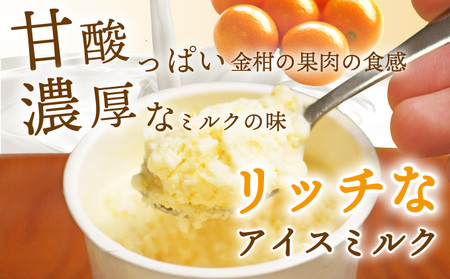 串間市産きんかんたまたま使用！たまリッチアイス詰合せ(9個)_K004-002