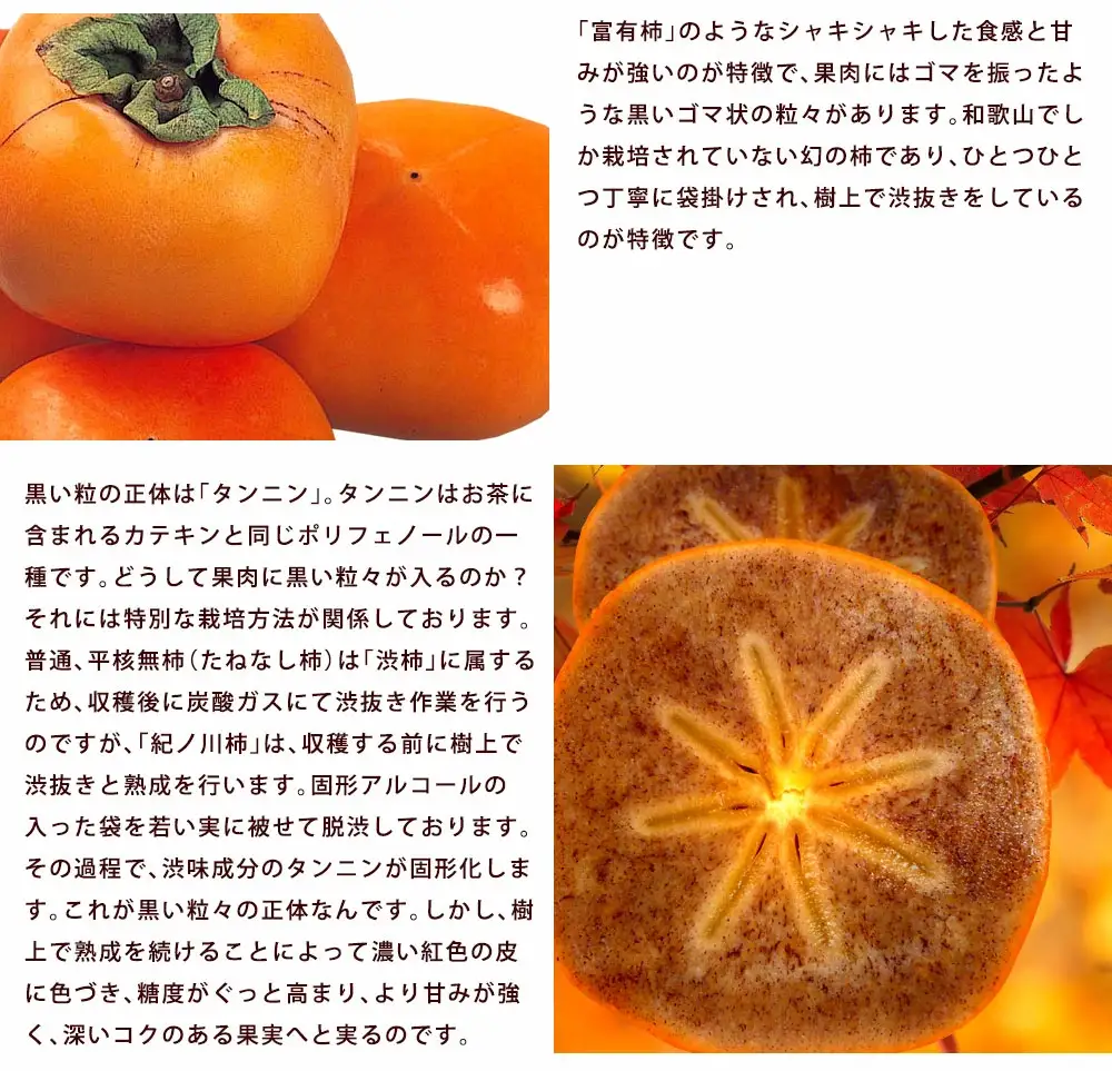 【贈答用赤秀】和歌山県産 紀の川柿 9-13玉【10月中旬から10月下旬頃順次発送】【S96007-mtgn051】