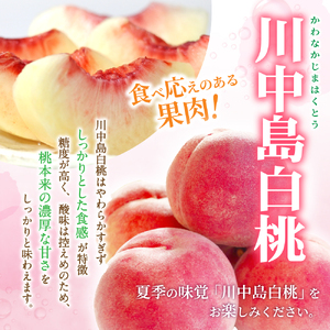 桃 川中島 5～8玉入り 秀品 【S96012-mtgn056A】