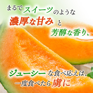 【令和8年産】先行予約 メロン かみふらの 赤肉 メロン 約 1.6kg 2玉 セット めろん 果物 フルーツ デザート くだもの 旬の果物 旬のフルーツ 北海道 上富良野 産地直送