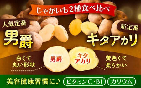 【先行予約】北海道産じゃがいも 2種食べ比べセット 各5kg（男爵＆キタアカリ）【足寄町/党崎農場】じゃがいも[BEAA005]