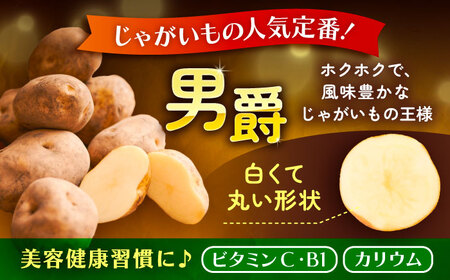 【先行予約】北海道産じゃがいも 男爵 10kg（LM混合）【足寄町/党崎農場】じゃがいも[BEAA006]