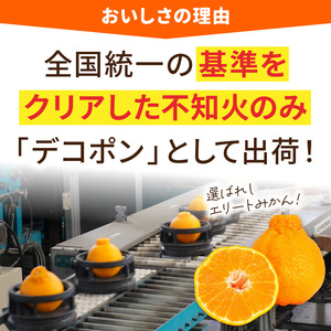 S053-002B_天草産 デコポン 3kg〈先行予約〉 / デコポン 柑橘 みかん フルーツ