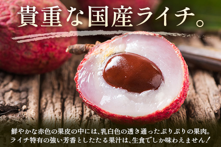 ＜数量限定＞清緑香園の摘みたて「生ライチ」Lサイズ 12個 国産 宮崎県産 先行予約 ※2026年6月中旬～【C235-26】