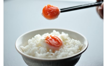 No.0980 森山の温泉たまご　たまご美人赤玉10個入り×6箱セット