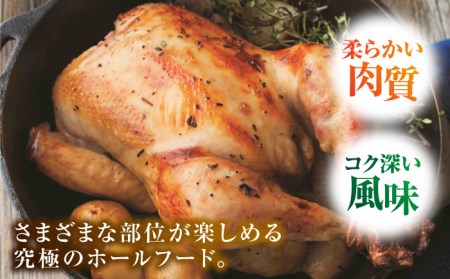 佐賀県産 みつせ鶏 丸鶏 1羽（2.0?2.3kg）鶏 鶏肉 クリスマス 鳥 [FAE081]