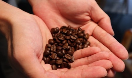 スペシャルティコーヒー「飲み比べセット」（3種×250g） コーヒー豆 珈琲豆 