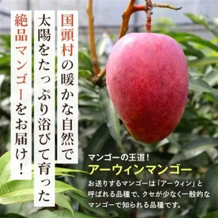 【2026年6月から順次発送】秀品アーウィンマンゴー2kg(3～6玉)【配送不可地域：離島】【1584606】