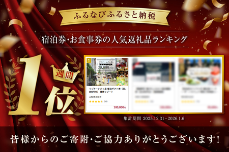 星野リゾート　リゾナーレ八ヶ岳宿泊券　30000円分 リゾナーレ八ヶ岳 宿泊ギフト券（30,000円分）宿泊券 利用券 体験