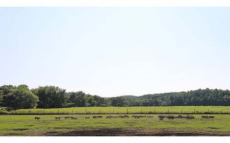 放牧豚使用のとんかつ店「こな雪とんとん」お食事券 3,000円分【45001】