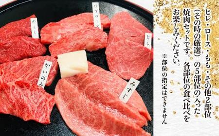 A5等級 飛騨牛 希少部位 焼肉セット 250g 5種食べ比べ ( ヒレ / ロース / もも など ) | 焼肉 飛騨牛 小分け 食べ比べ 盛り合わせ 贈答 飛騨高山 天狗総本店 BP015
