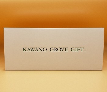 高知県土佐市産 Konatsu Drink KD 20％ 160ml (6本入)【川野果樹園】 [BQCB001]
