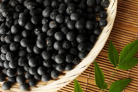 丹波黒大豆 2Lサイズ 600g （300g×2袋） 黒豆 