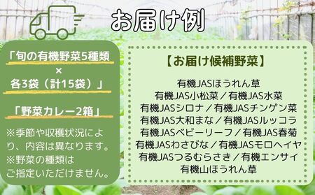 （チルド）山口農園 有機野菜 おまかせセット ＋ カレー２箱 詰合せ / ふるさと納税 山口農園 有機野菜 伝統野菜 オーガニック ベジタリアン 定期便 カレー 無農薬 野菜セット 農家直送  詰め合わせ 奈良県 宇陀市 