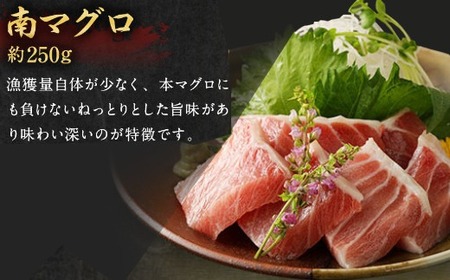 天然マグロ 3種 約750g 【まぐろ】ge002