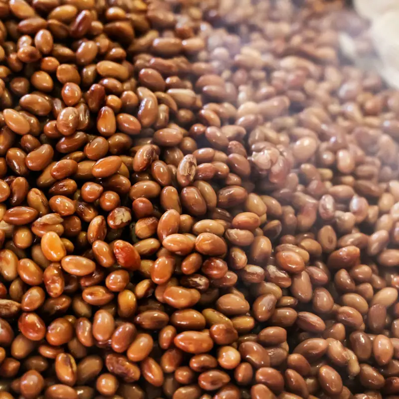 天然醸造醤油 生揚げ醤油とぽん酢醤油セット【A7-029】